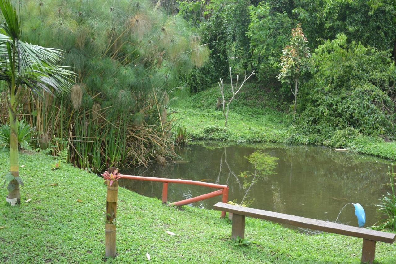Sitio E Pousada Recanto Dos Ipes Teresópolis エクステリア 写真